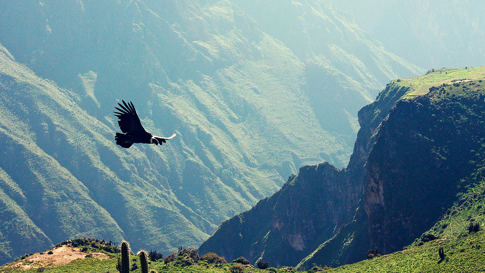 Vestimenta del Colca