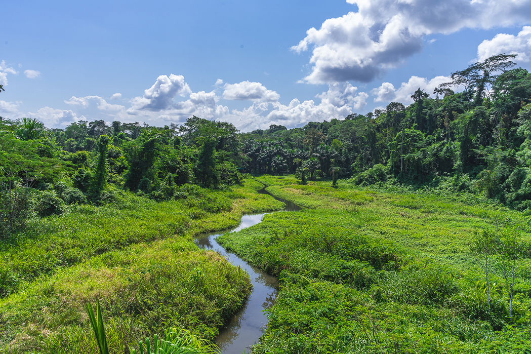 Parque Nacional del Manu